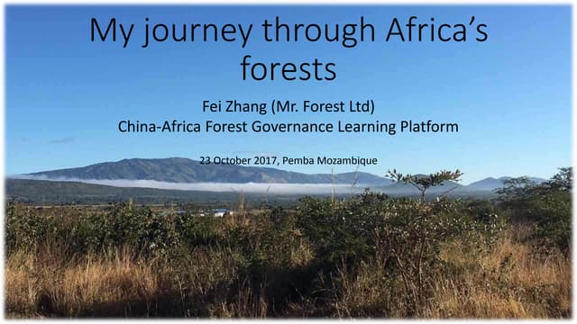 My journey through Africa’s forests: Mr Fei Zheng, Mr Forest company  