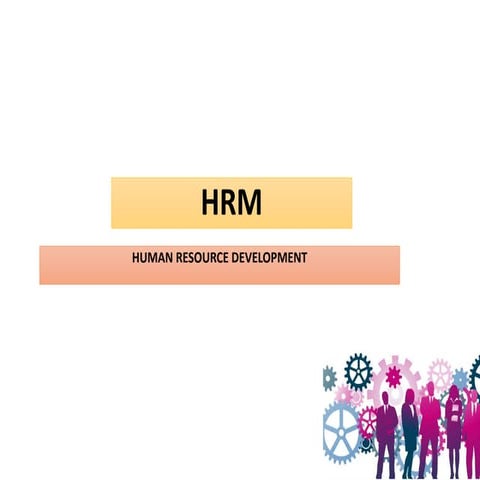 3HUMAN RESOURCE DEVELOPMENT