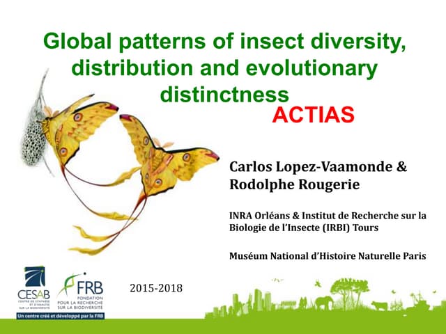 Global patterns of insect diiversity, distribution and evolutionary distinctness