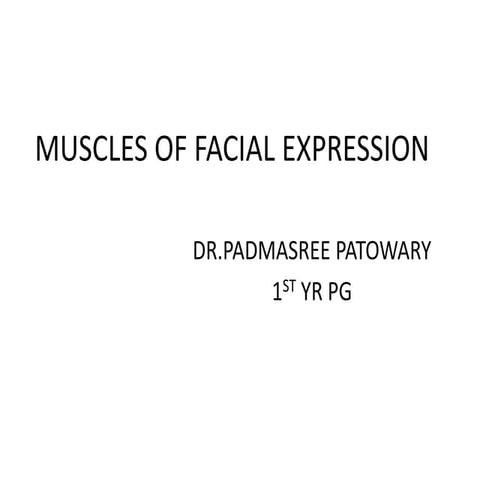 Muscles of facial expression
