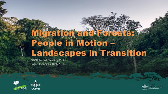 Migration and Forests: People in Motion – Landscapes in Transition