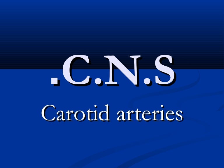 Radiological Anatomy Of The Carotid Arteries