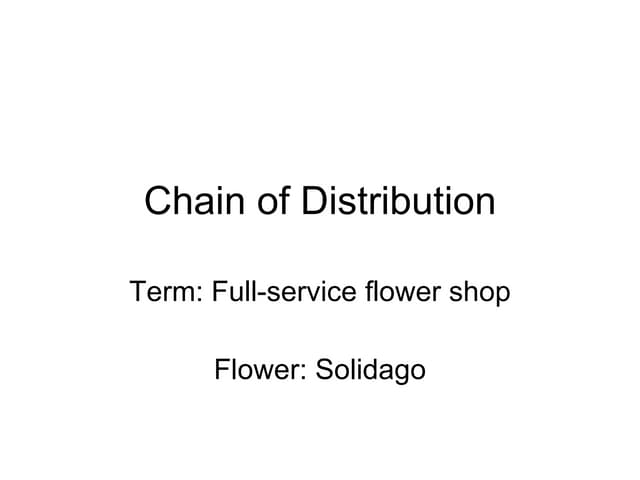 3 18 Retail Flower Shops
