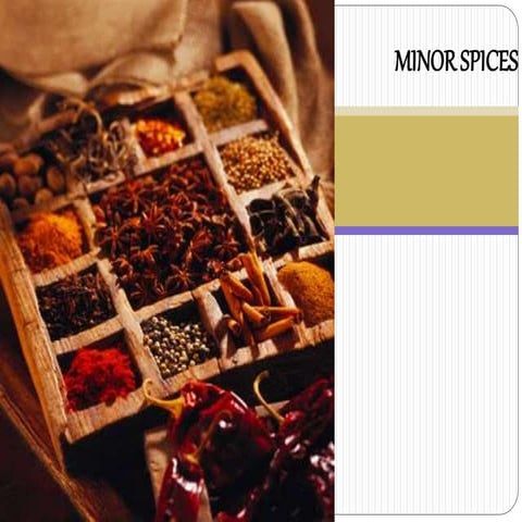 3.bc. clove coriander