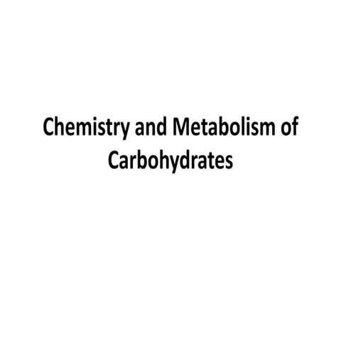 3. carbohydrates