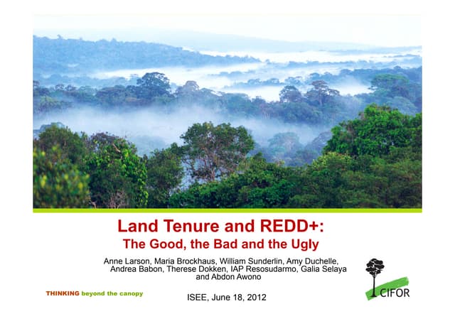 thumbnail of  Land tenure and REDD+: the good, the bad and the ugly