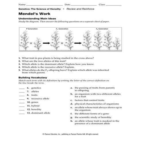 3.1 Review And Reinforce