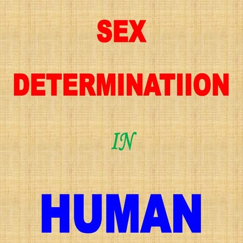 Sex Determination in Humans