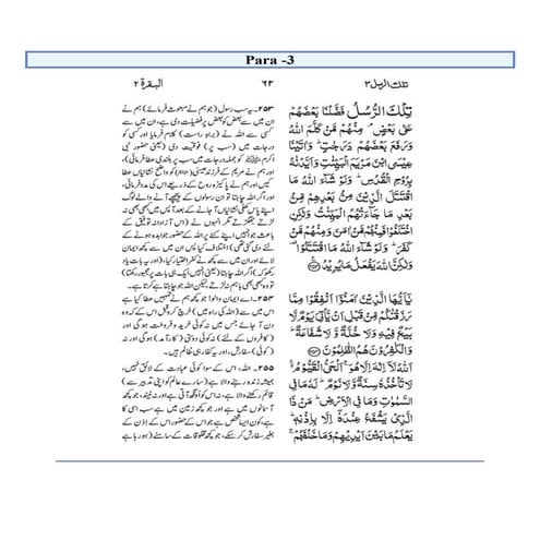 25 | PDF