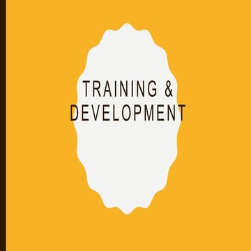 3. Training and Development