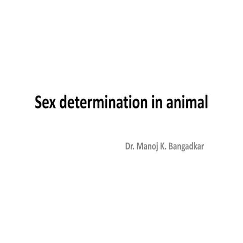 Sex determination in animals