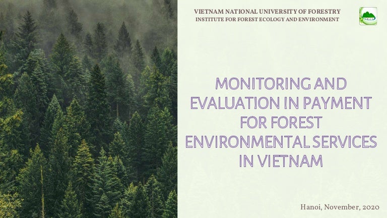 thumbnail of  Monitoring and Evaluation in Payment for Forest Environmental Services in Vietnam