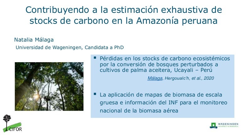 thumbnail of  Contribuyendo a la estimación exhaustiva de stocks de carbono en la Amazonía peruana