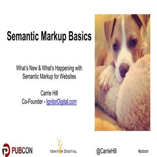 Schema Markup Basics - Pubcon 2017