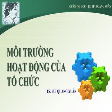 TS. BÙI QUANG XUÂN - MÔI TRƯỜNG HOẠT ĐỘNG CỦA TỔ CHỨC  