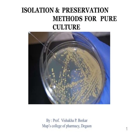 3. isolation of Bacterial culture