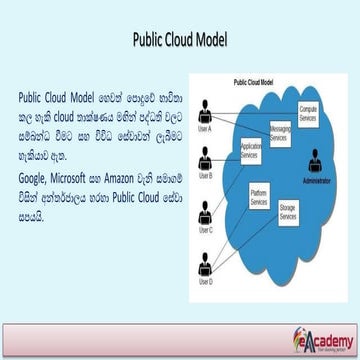 3. Public Cloud Model