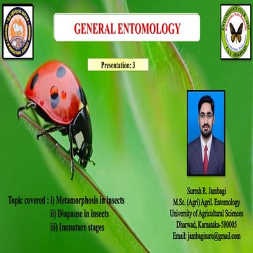 Metamorphosis, Diapause and its types; immature stages of insects