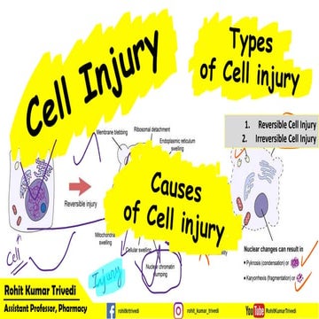 Cell Injury and its causes ppt pdf