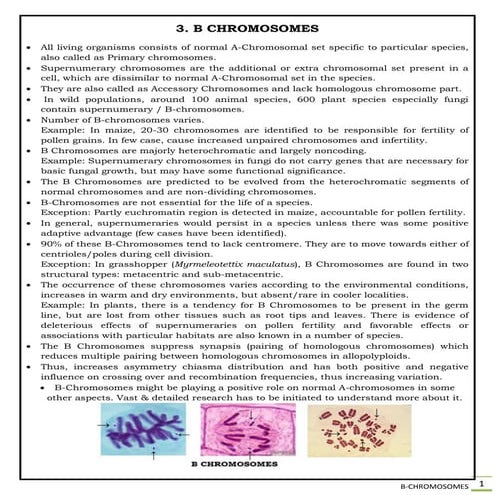 3. Special chromosome - B chromosome 
