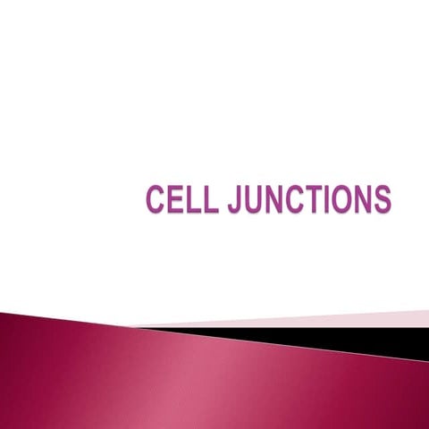 3. CELL JUNCTIONS.pptx