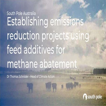 3. Feed Additives - Presentation - Feedworks Conference 2022-compressed.pptx