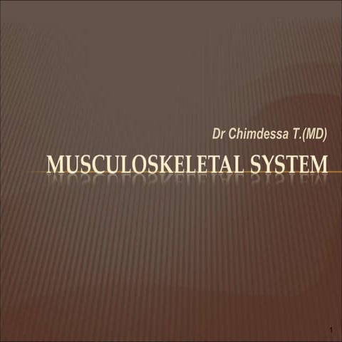 3 Musculoskeletal System2 Pptx