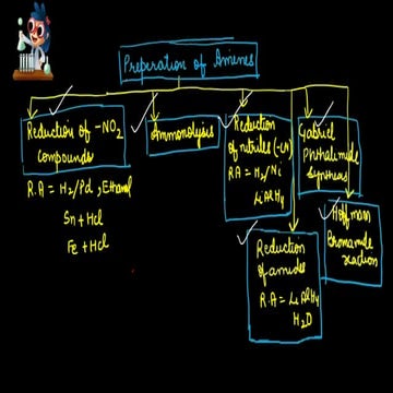3. Amines lecture 3  3feb (1) (1).pdf
