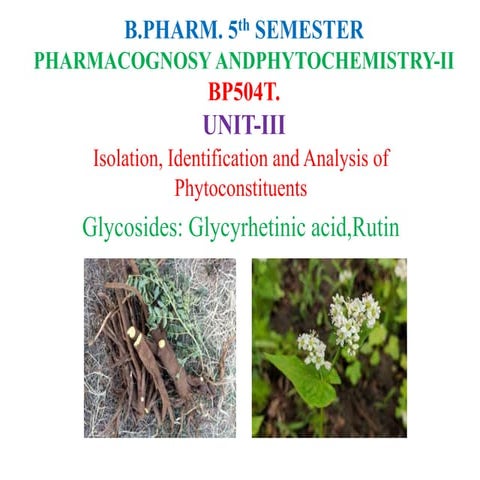 3.2 B-Glycosides-Glycyrhetinic-acid-Rutin.pptx