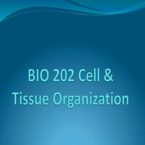 3.0 Cell Structure and function (2).pptx