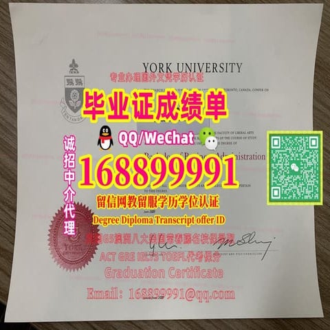 加拿大YorkU文凭 | PDF