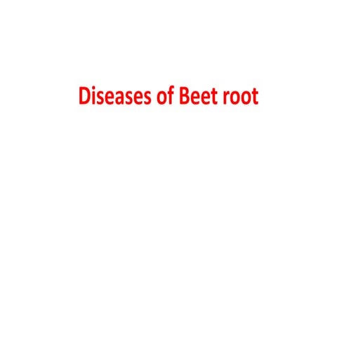 Beet root. Diseases management ,production pdf. | PPTX