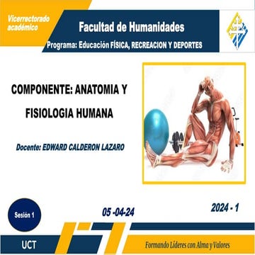 3.-APARATO LOCOMOTOR-ANATOMIA Y FISIOLOGIA HUMANA-2024-1.pptx