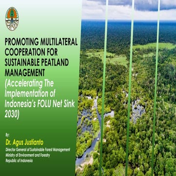 Promoting Multilateral Cooperation for Sustainable Peatland management