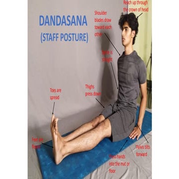 arm balance asana - Comprehensive understanding of arm balancing asana ...