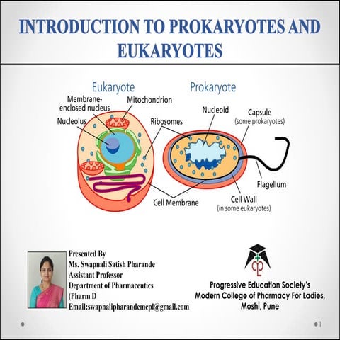 Introduction to Prokaryotes and Eukaryotes.pdf