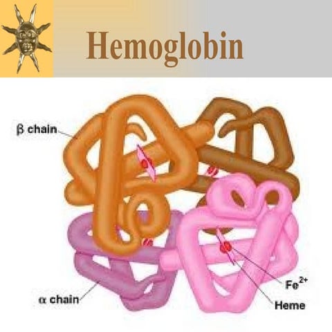3.hemoglobin PRESENTATION POWER POINT PPT