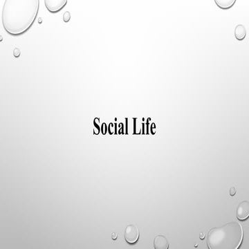 3. IVC - Social Life^J Economy^J  Religion PPT revised.pptx