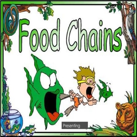 3.pptx  food chains presentation bachelors
