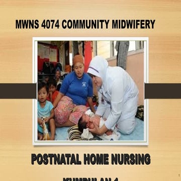 3.1 POSTNATAL HOME NURSING LYNN ILKKM.ppt