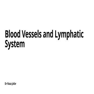 3. Blood Vessels and Lymphatics System ppt.pptx