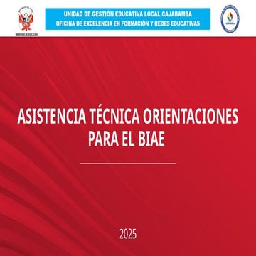 3. ASISTENCIA TECNICA BIAE 2025 -Cajabamba.pptx