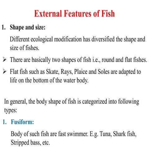 3. Anatomy of fish - Morphology features.pdf