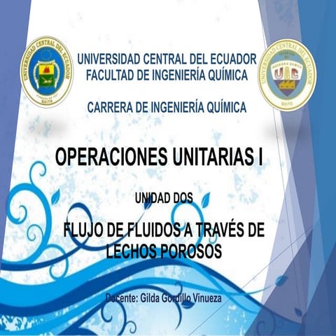 Lechos porosos fijos - Mecánica de fluidos | PDF