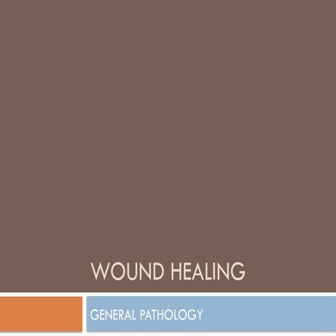 Wound healing | PPT