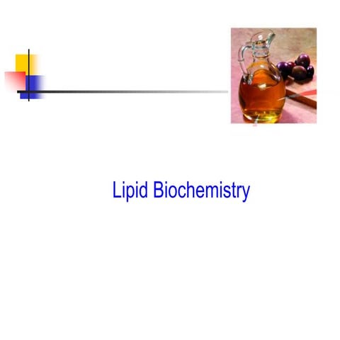 3. Lipids classification and their functions.pdf