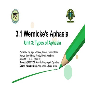 3.1 Wernicke's Aphasia (Receptive / Fluent Aphasia) | PDF