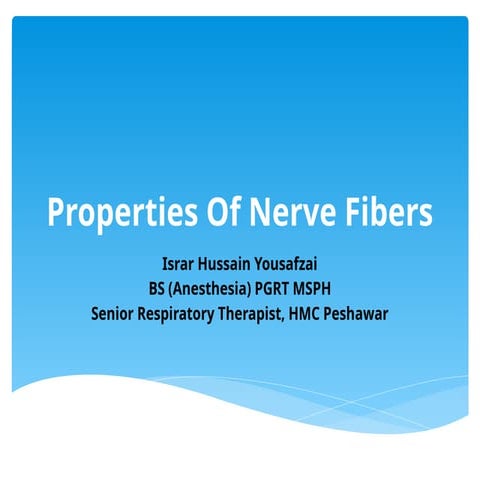 Properties Of Nerve Fibers Human  nervous system physiology