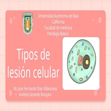 3.- Tipos-Lesión-Celular resumen Robbins de patologia basica.pptx