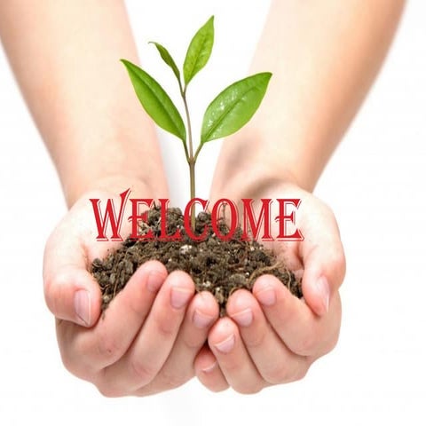 3.Nutrient media for ornamental plants.pptx